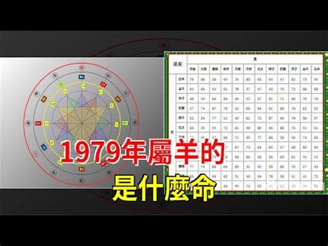 1979年五行屬什麼|1979年五行属什么？1979年出生是什么命？